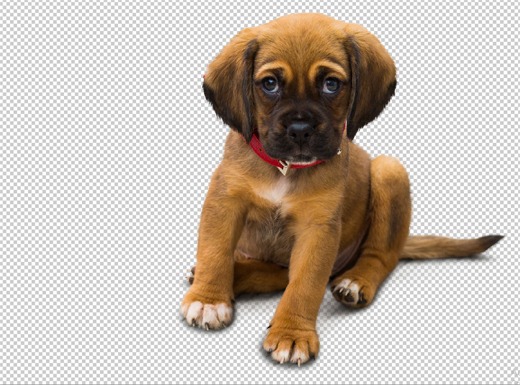 image cutout services