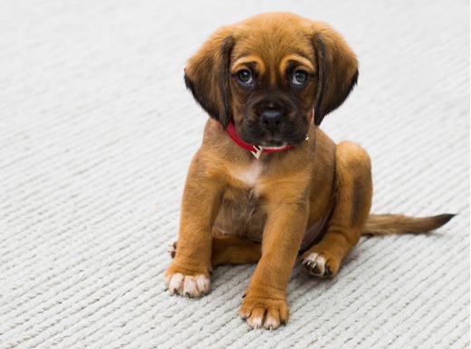 image cutout services